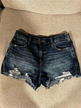 Aerie Dark Wash Distressed Denim Shorts
